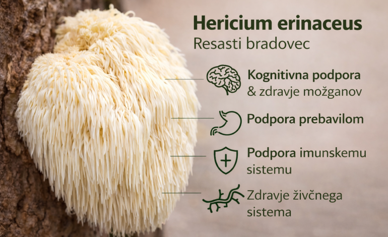 Resasti bradovec